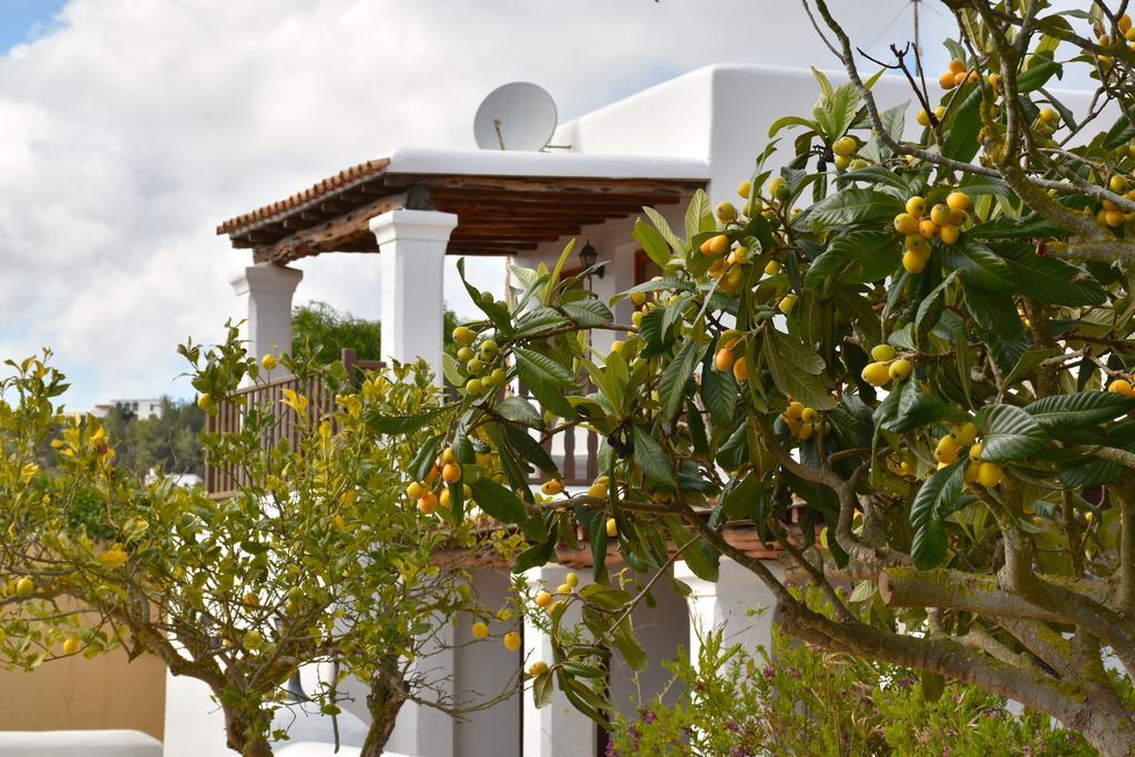 Can Gat Sant Carles de Peralta Exterior foto